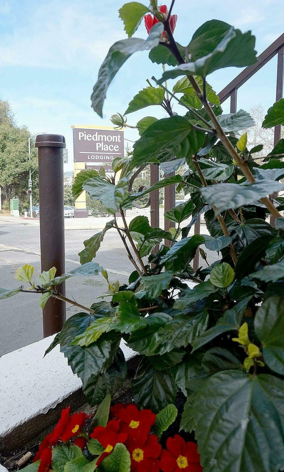 Piedmont Place Motel Оукланд Екстериор снимка